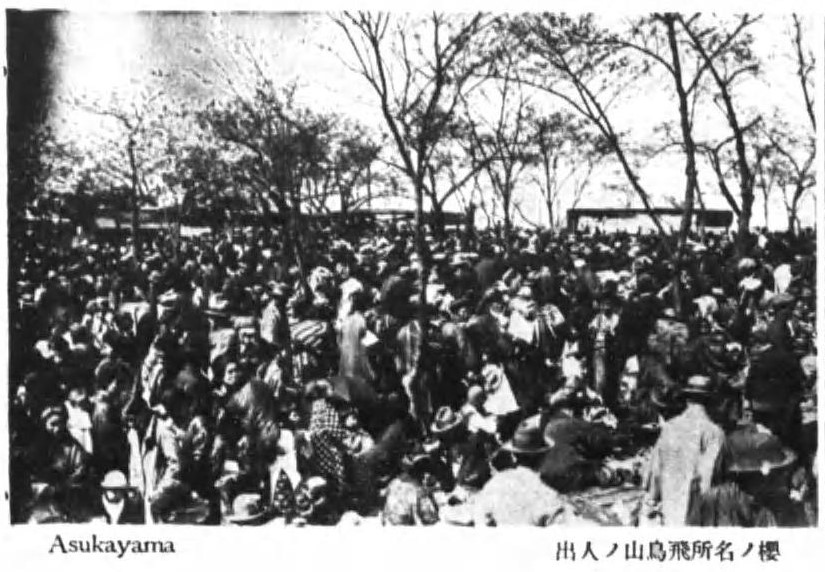 Crowds beneath cherry blossoms at Asukayama in 1937