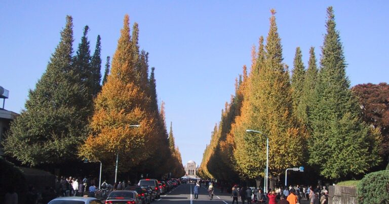 Aoyama neighborhood history