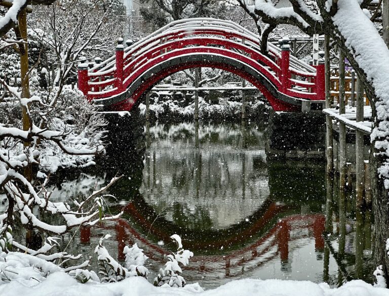 Kameido neighborhood history