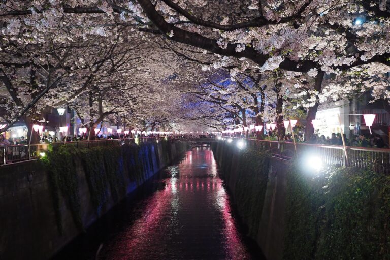 Nakameguro neighborhood history