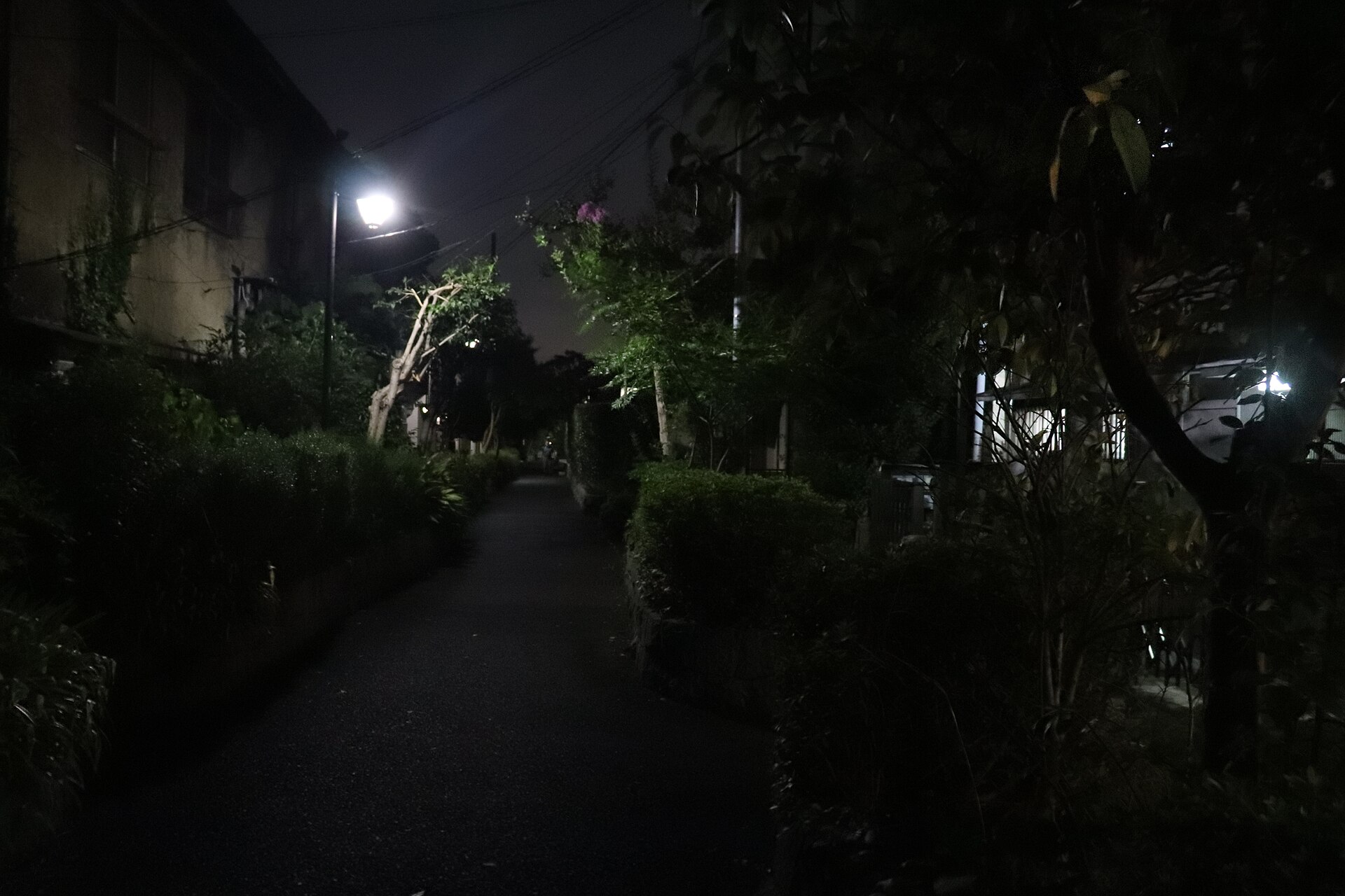 Momozono River Greenway in Tokyo, built above a river converted into a sewer channel