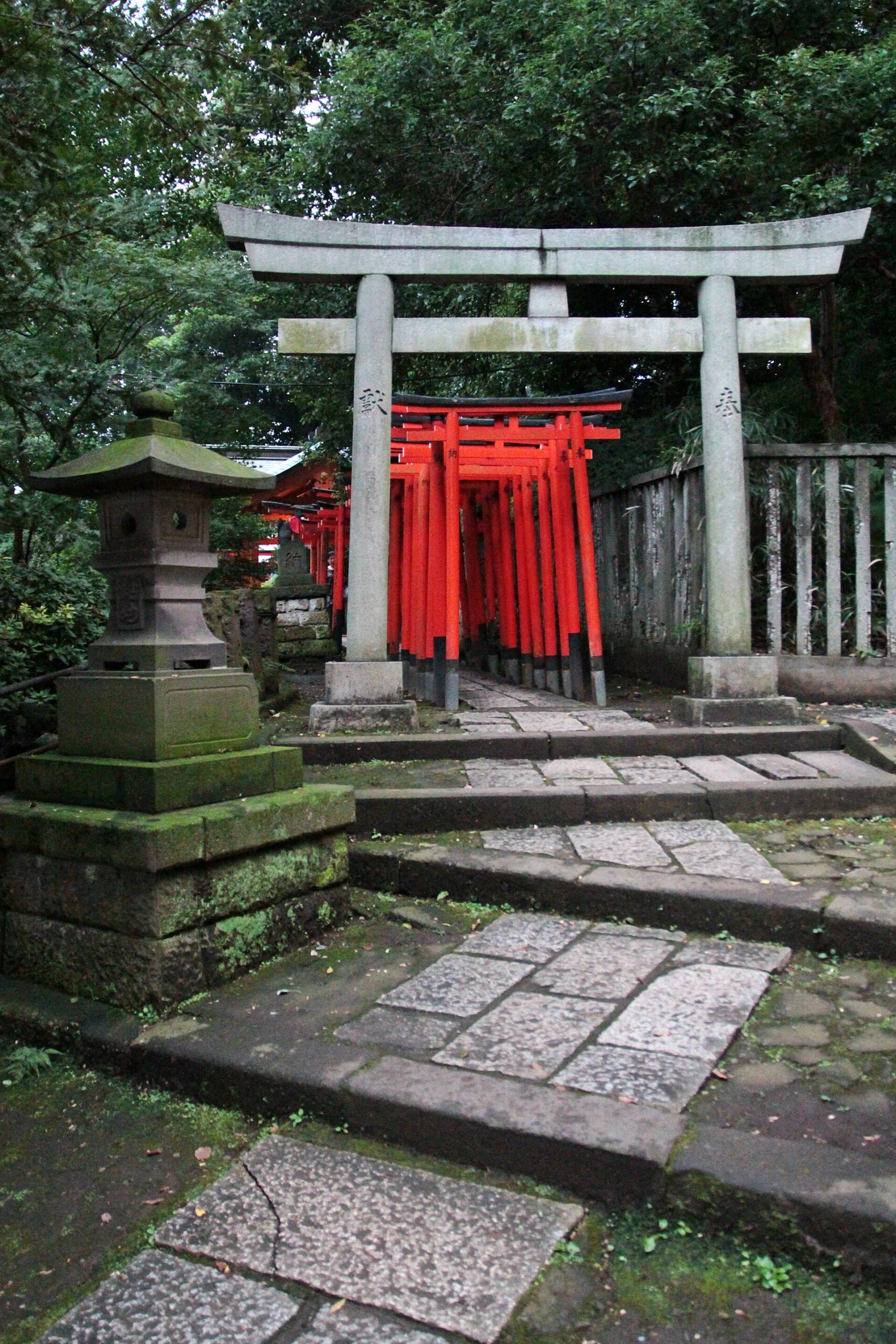 Stone and red torii along a path at Nezu Shrine in Tokyo