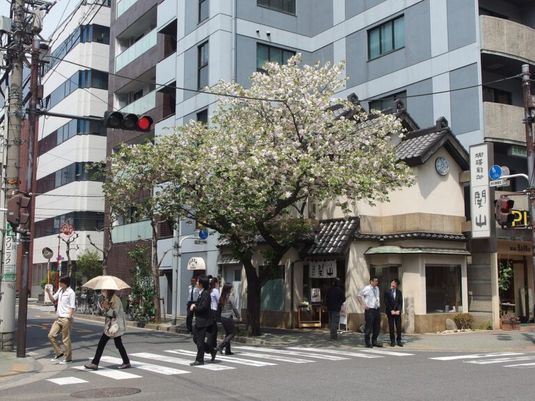 Ningyocho neighborhood history
