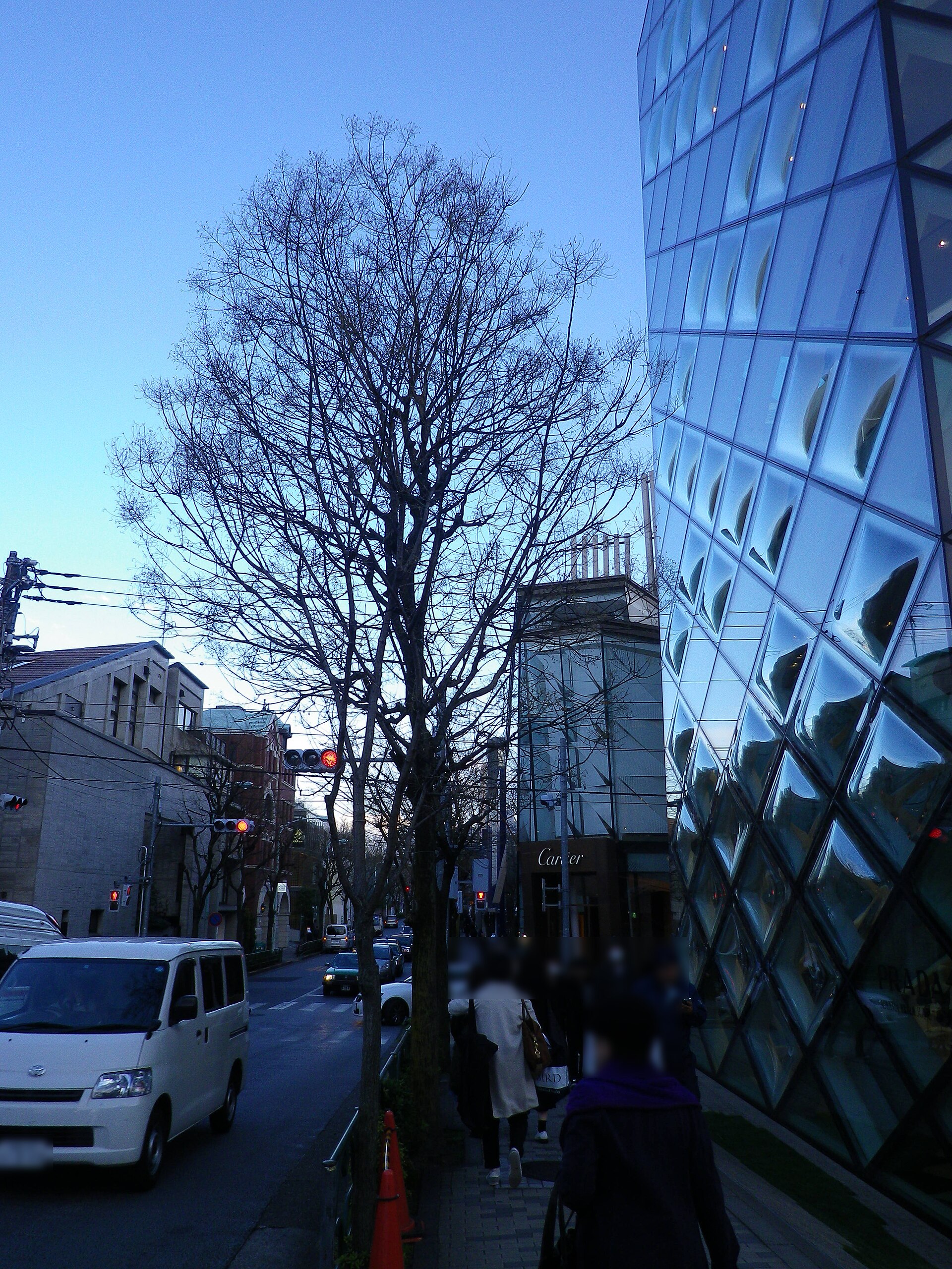 Prada Boutique Aoyama and the surrounding street in Minami-Aoyama