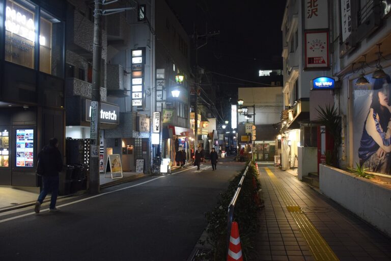 Shimokitazawa neighborhood history