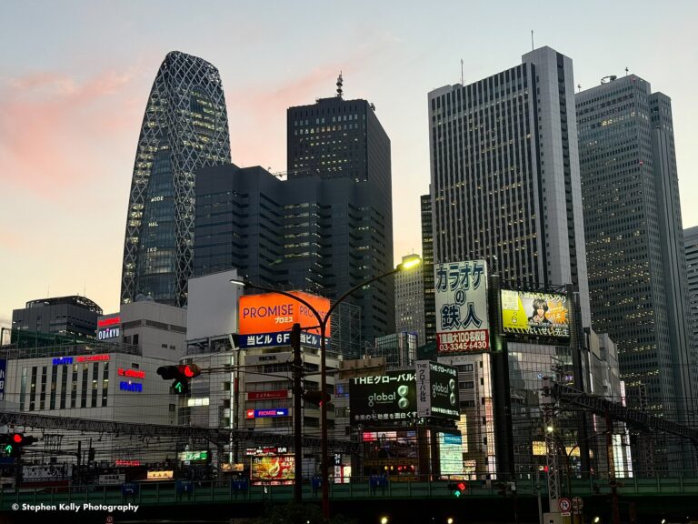 Shinjuku neighborhood history