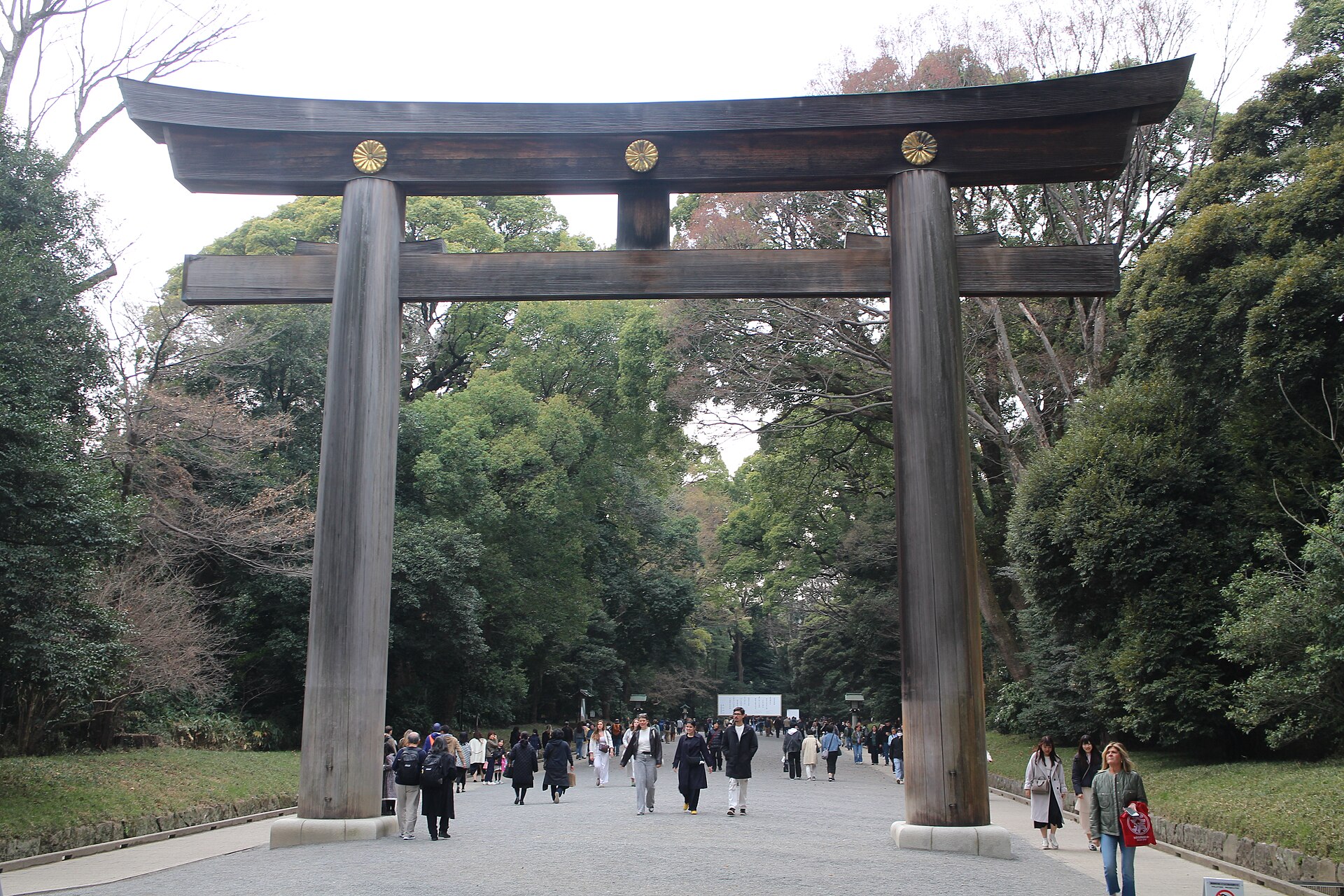 The Ōtorii gate and forest approach at Meiji Jingu in Harajuku