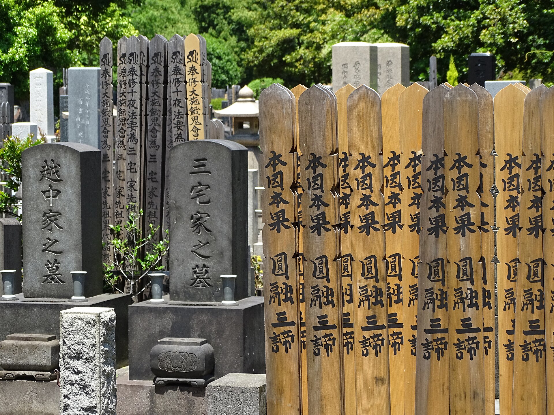 A tree-lined path and graves in Yanaka Cemetery in Tokyo