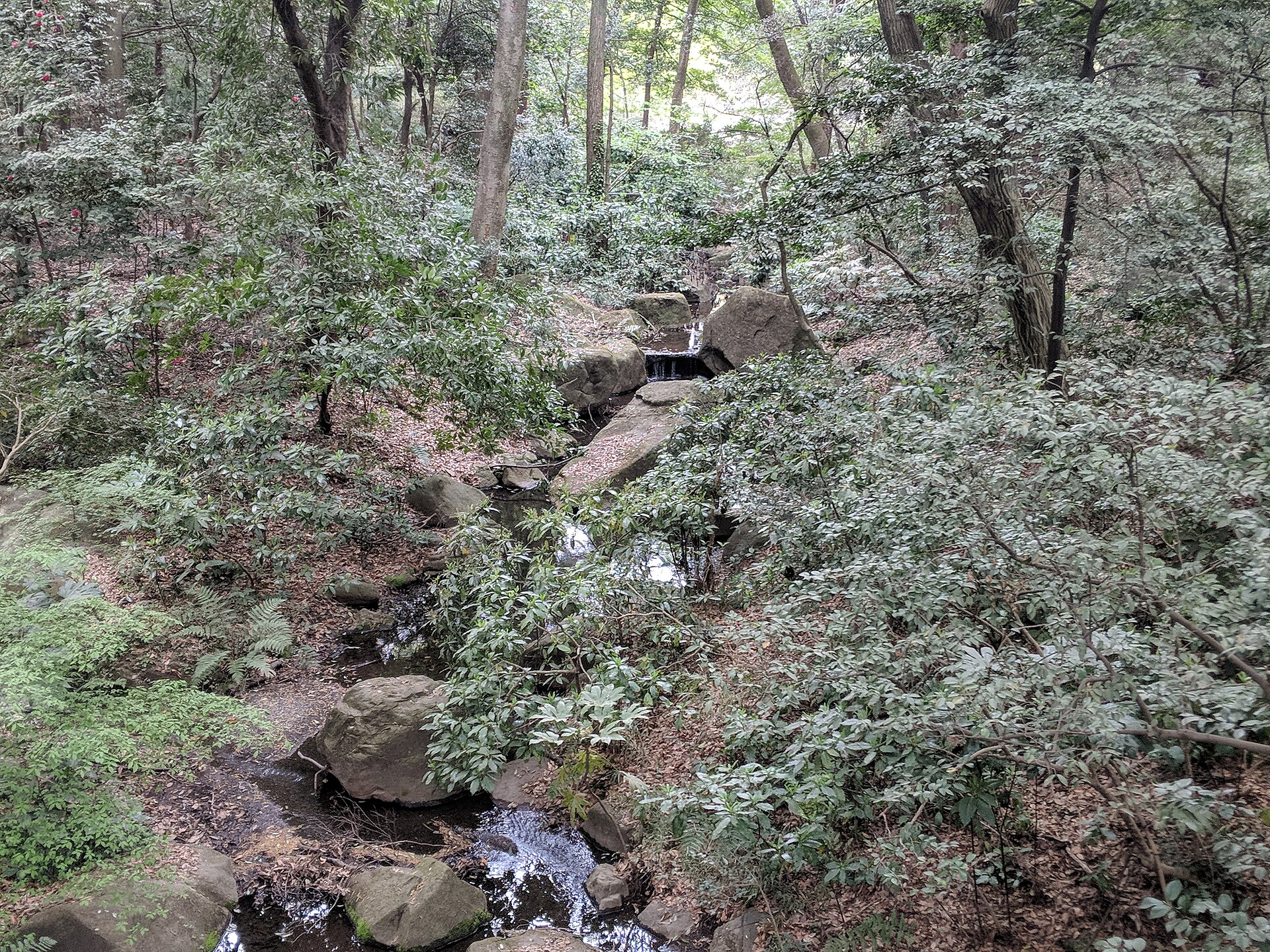 Trees and open space in Yoyogi Park, which opened in 1967 after the Olympic Village era