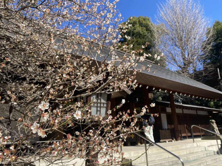 乃木神社と梅の花