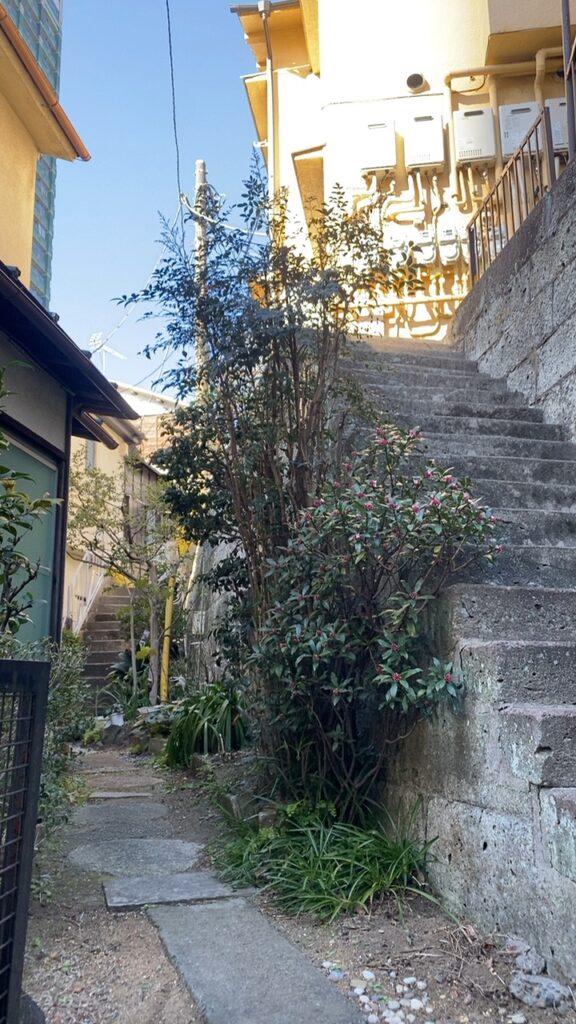 石垣と植栽の間で二方向に分かれる高輪の階段路地