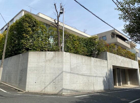 南平台の坂道沿いに建つコンクリート造の現代的な邸宅