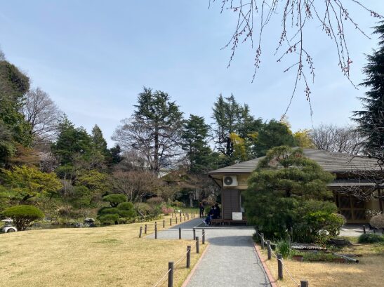 芝生と植栽に囲まれた菅刈公園の和館