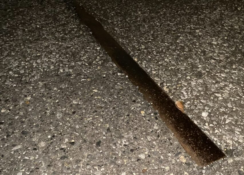 アスファルトから露出する都電芝浦線のレール跡