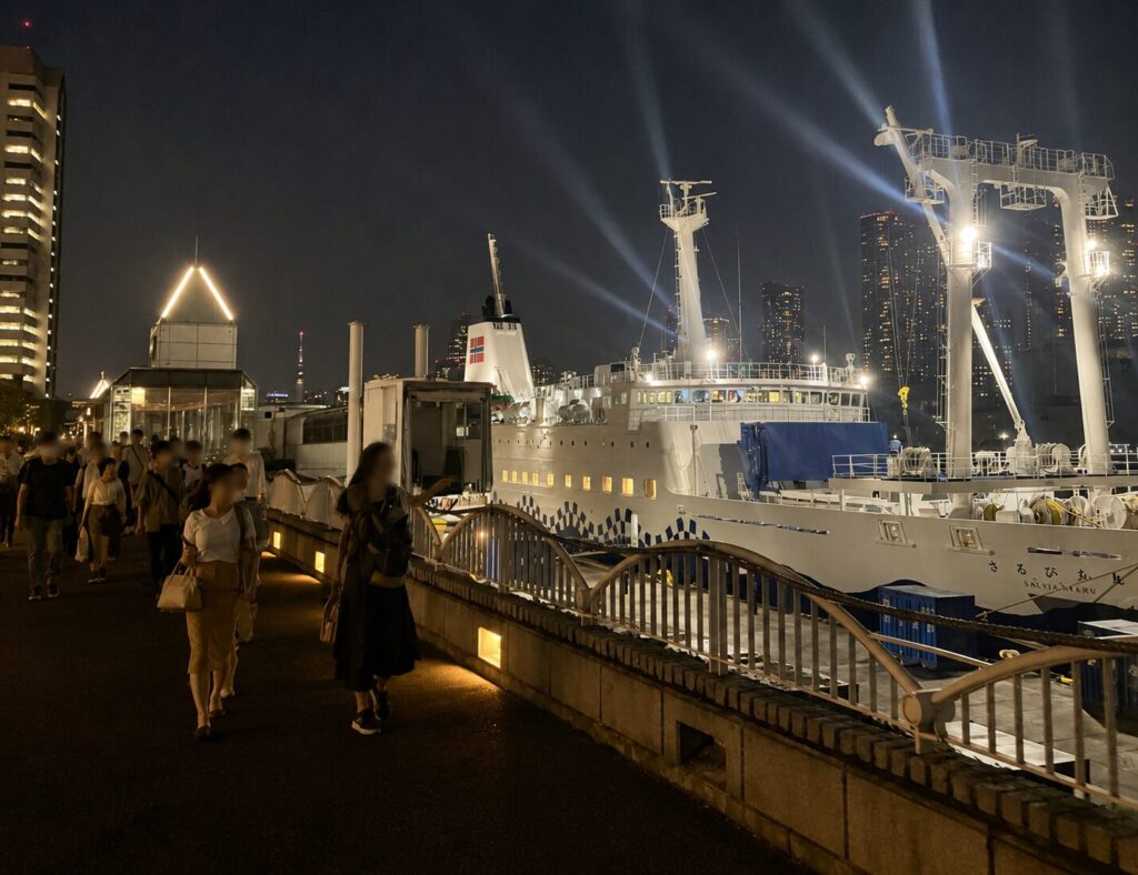 竹芝客船ターミナルとさるびあ丸の夜景