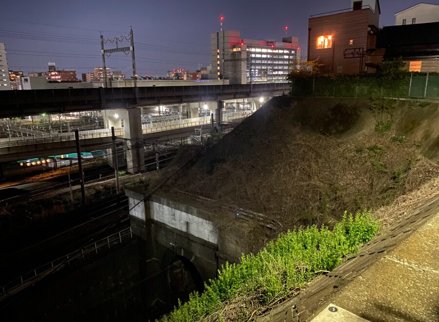田端・中里の崖線と複数の鉄道路線を夜に見下ろす風景