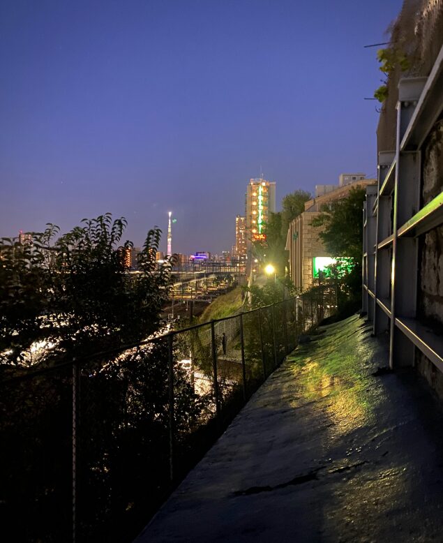 田端・中里の崖線沿いの道から夜景と線路を望む風景