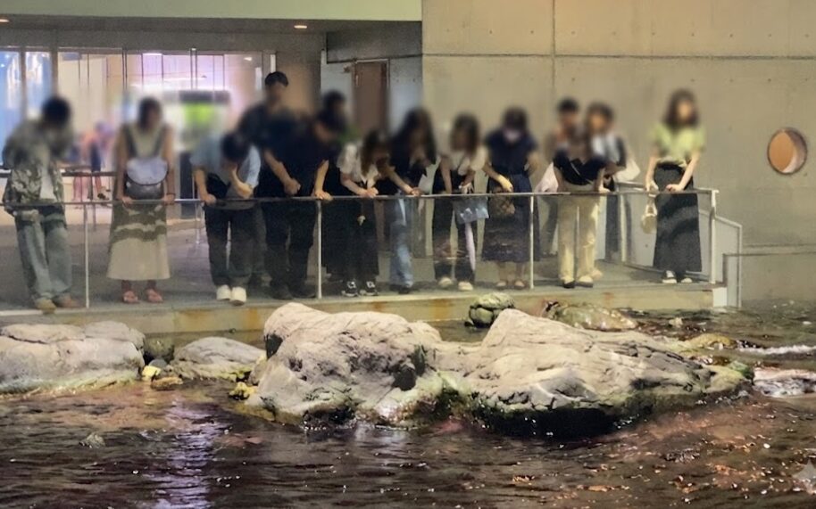 葛西臨海水族園で夜の展示を見学する参加者