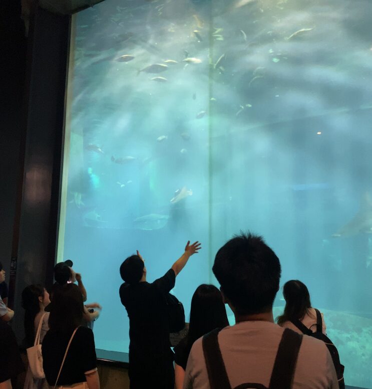 葛西臨海水族園の大水槽を見上げる参加者