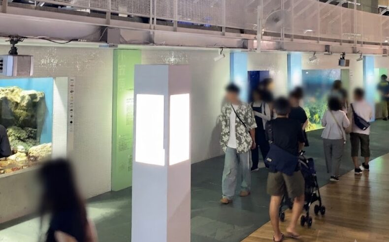 葛西臨海水族園館内の展示エリア