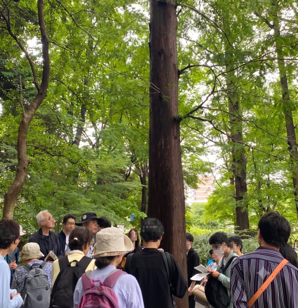 猿江恩賜公園の森の中で大きな木の前に集まる自然観察会の参加者たち