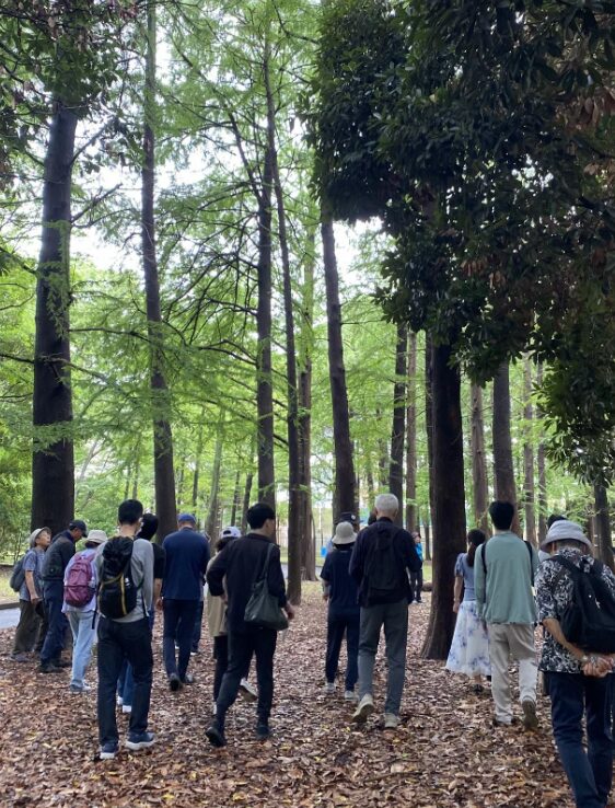猿江恩賜公園の林の中を歩く参加者たち
