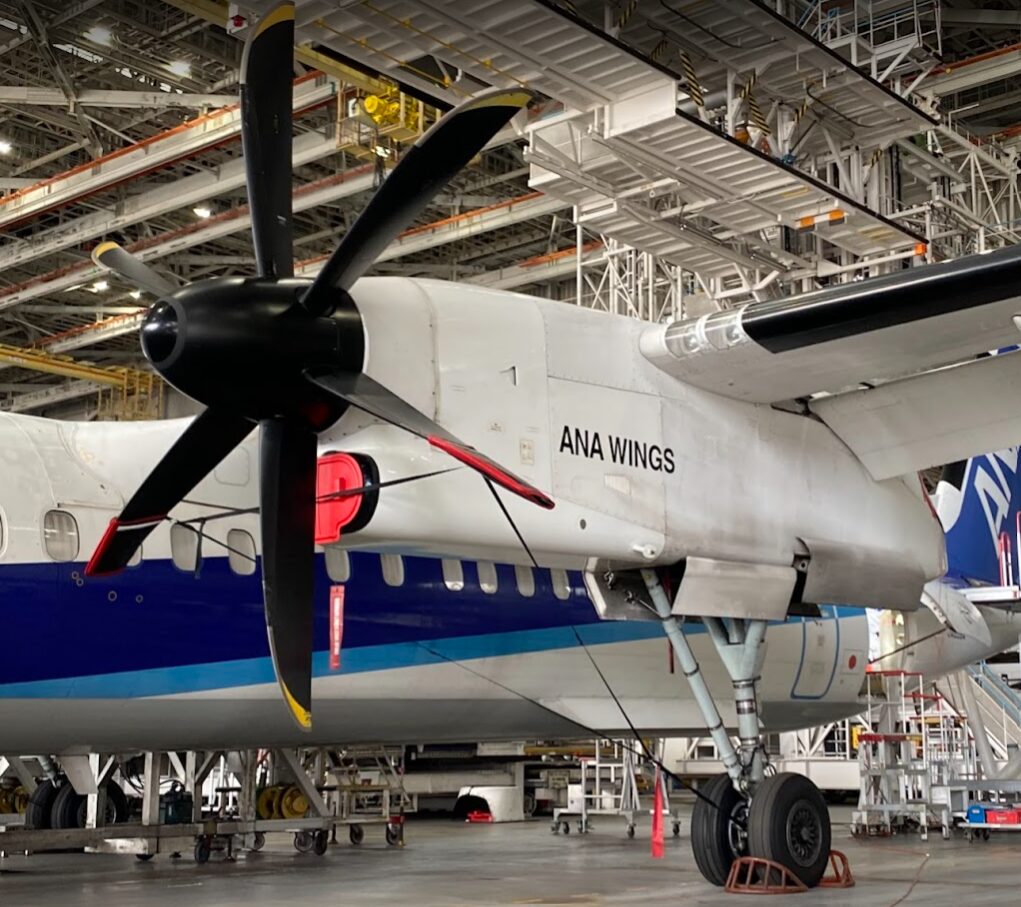 ANA WINGSのプロペラ機を格納庫内で見学する様子