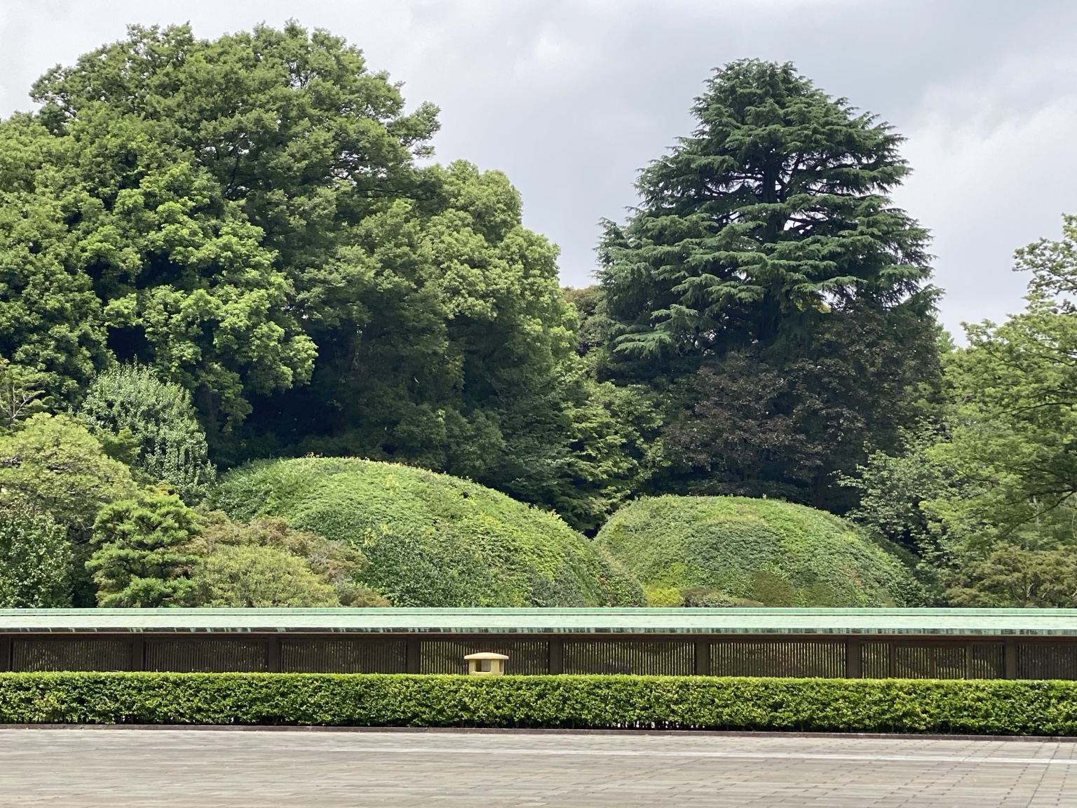 皇居一般参観で見学した南庭の高さ約6mのツツジとサツキの合わせ植え