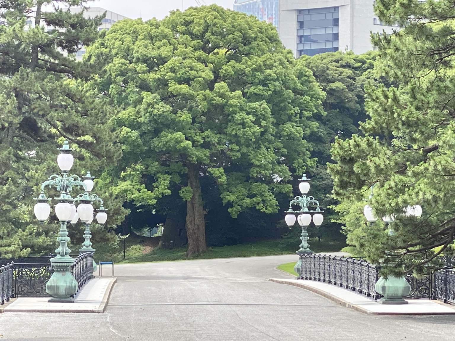 正門鉄橋から見たすずらん燈と正門石橋周辺の風景