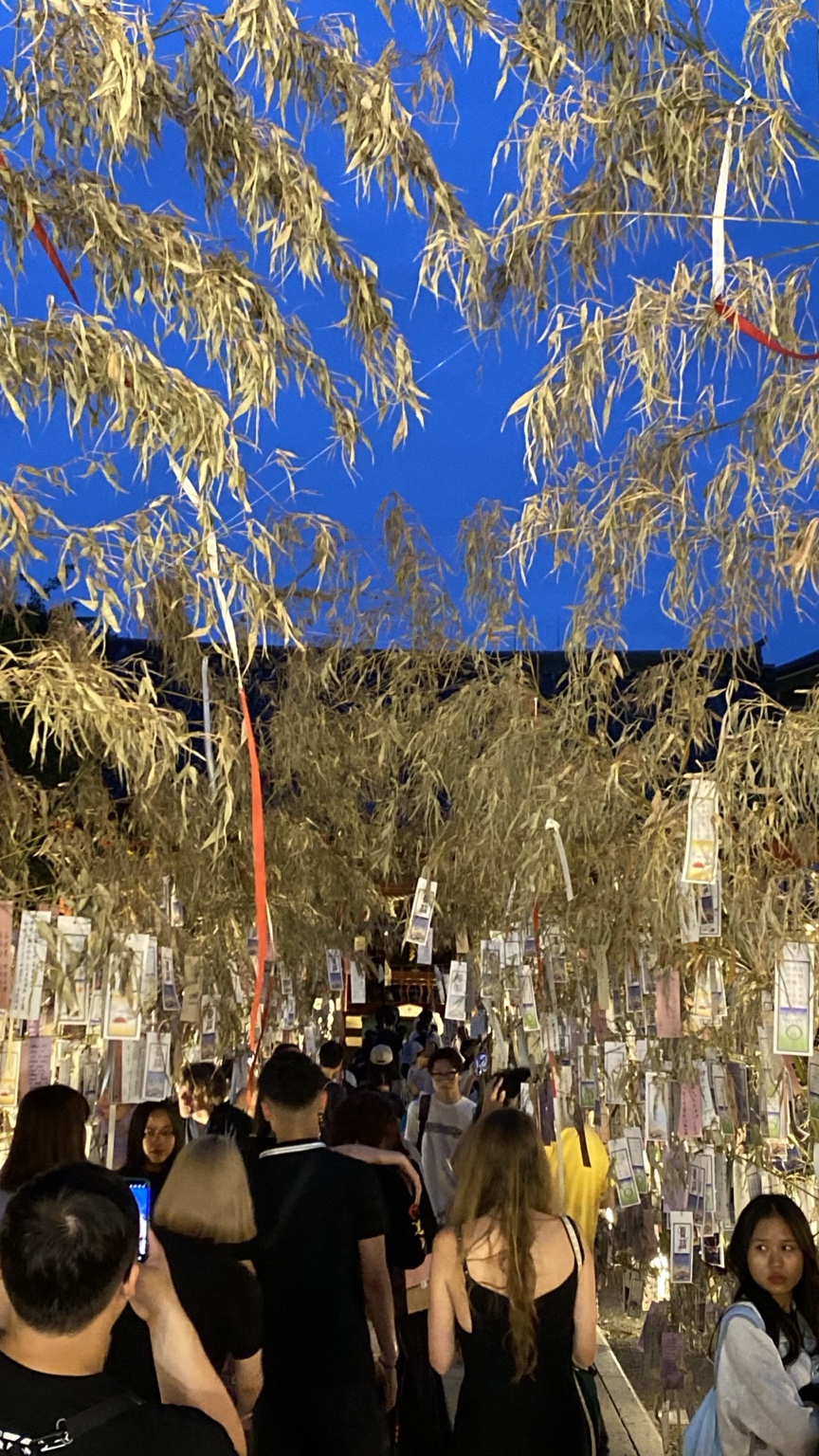 七夕飾りと短冊が並ぶ浅草神社夏詣の参道