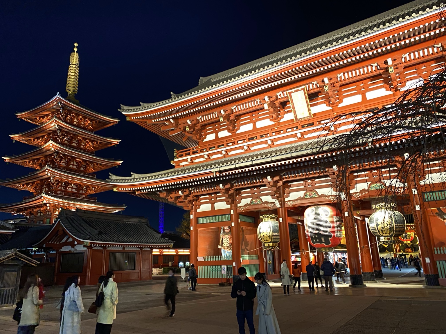 夜にライトアップされた浅草寺宝蔵門と五重塔