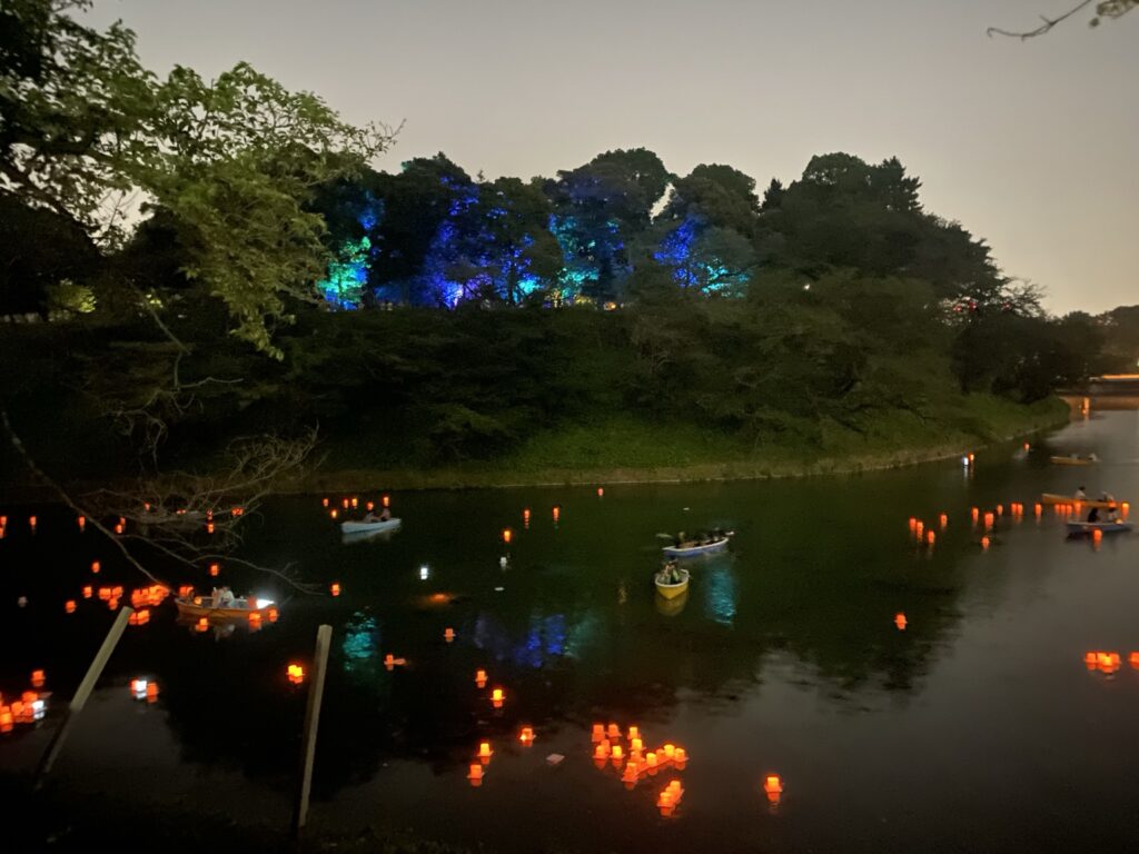 夜の千鳥ヶ淵に浮かぶ灯ろうと青く照らされた北の丸公園