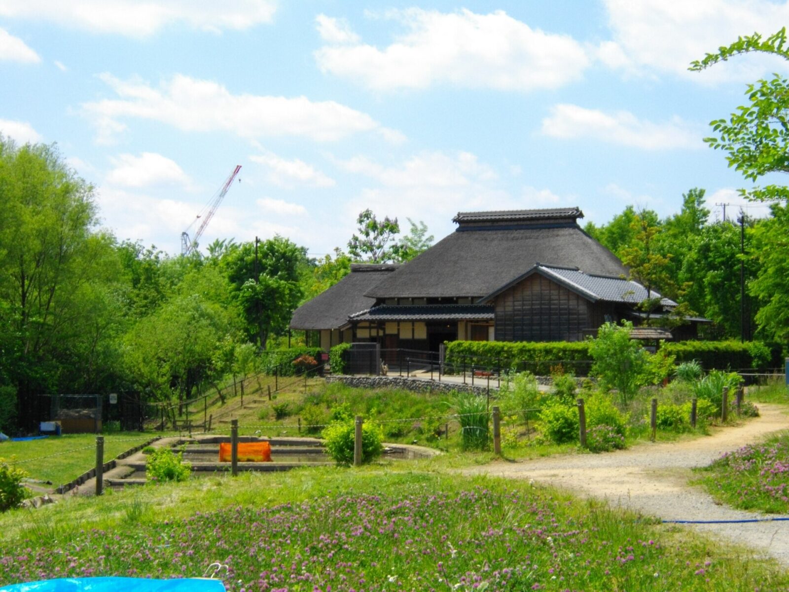 2010年の赤羽自然観察公園の園内