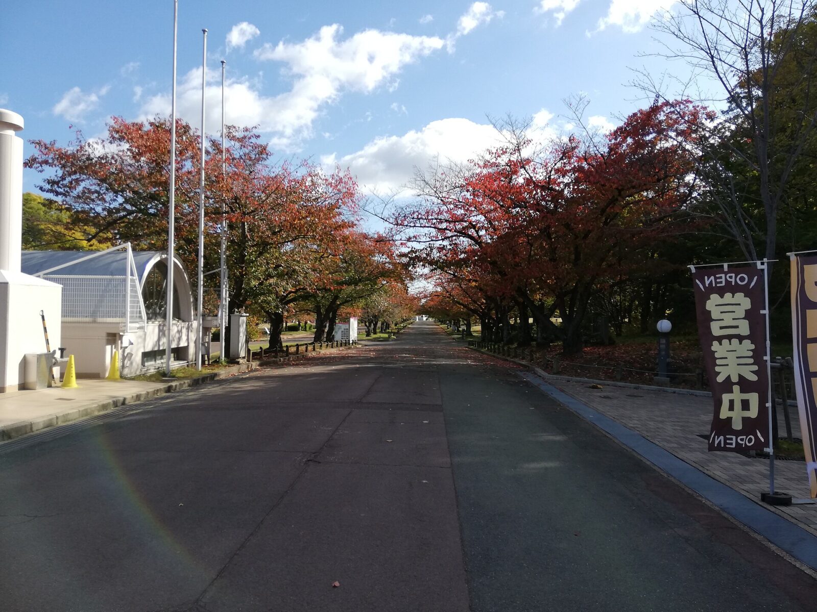 大阪府吹田市の万博記念公園にある並木道