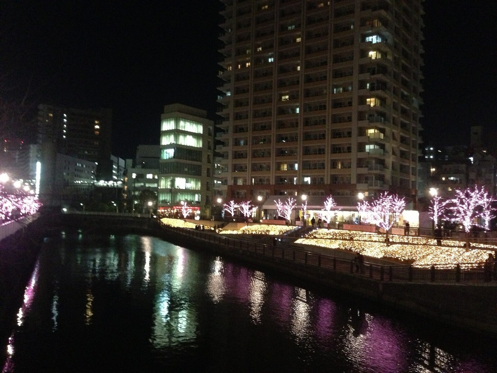 2012年夜の東五反田二丁目の街路と沿道の建物