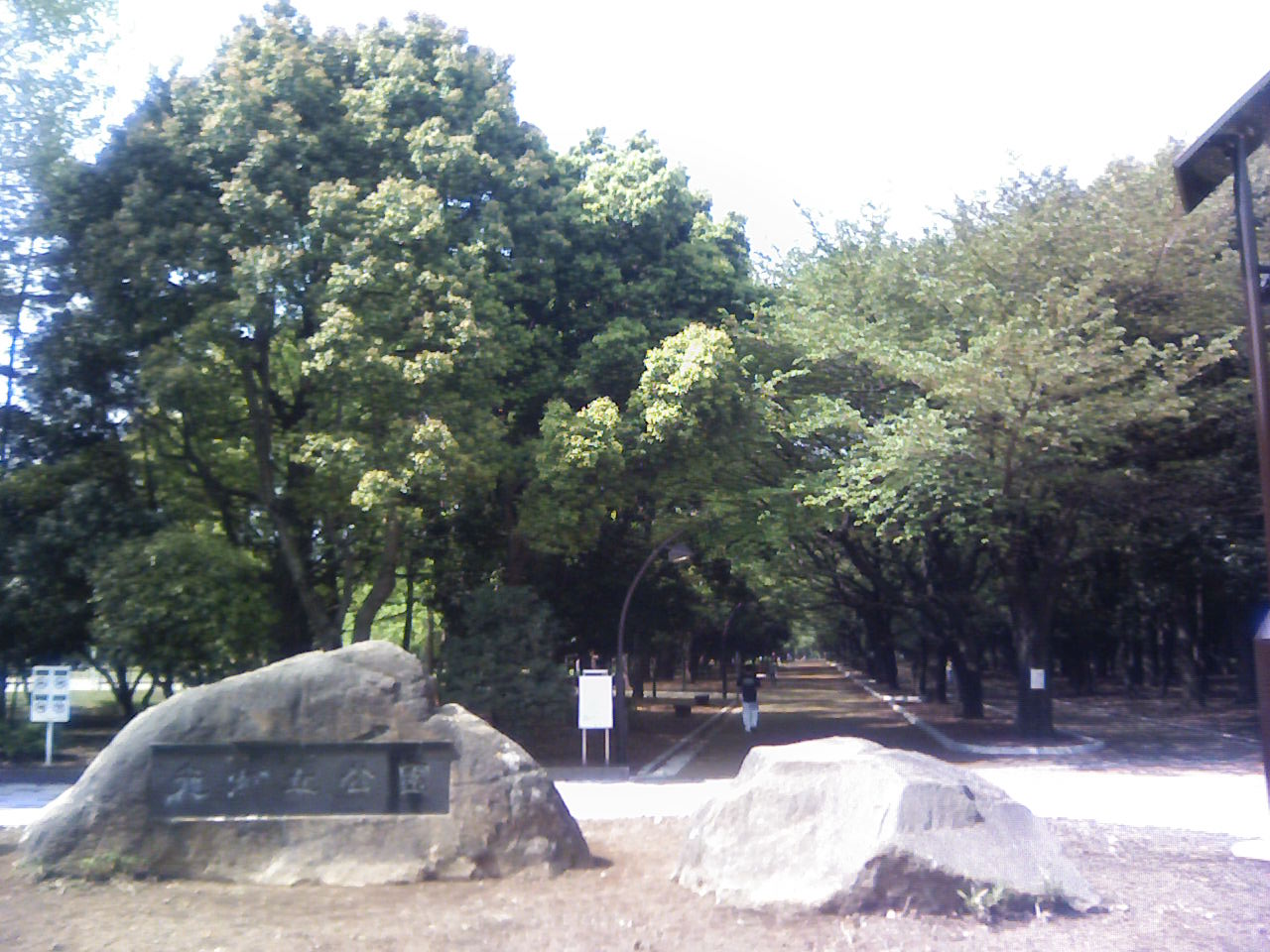 東京都練馬区の都立光が丘公園の広場と緑地