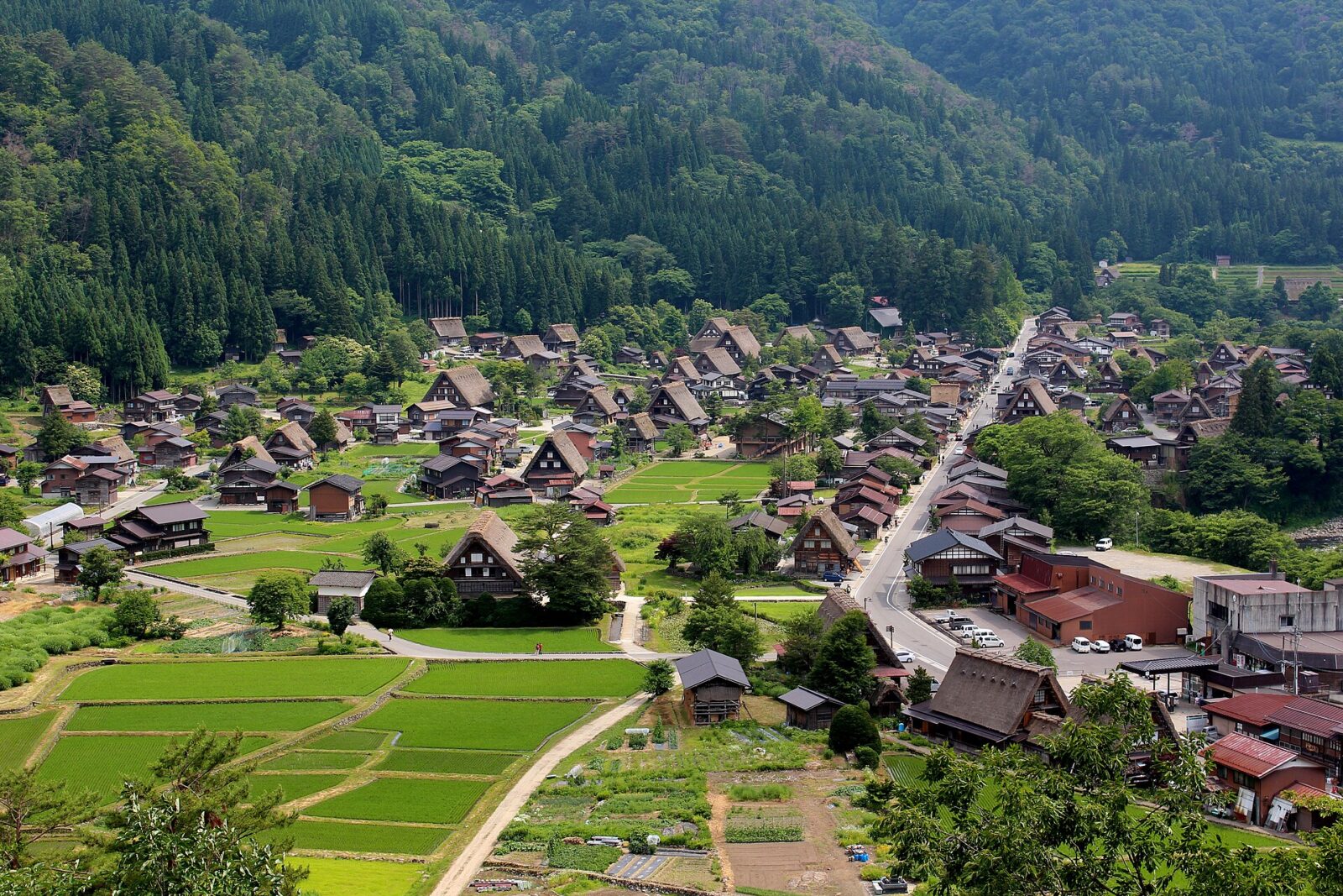 城山展望台から見た白川村荻町の合掌造り集落