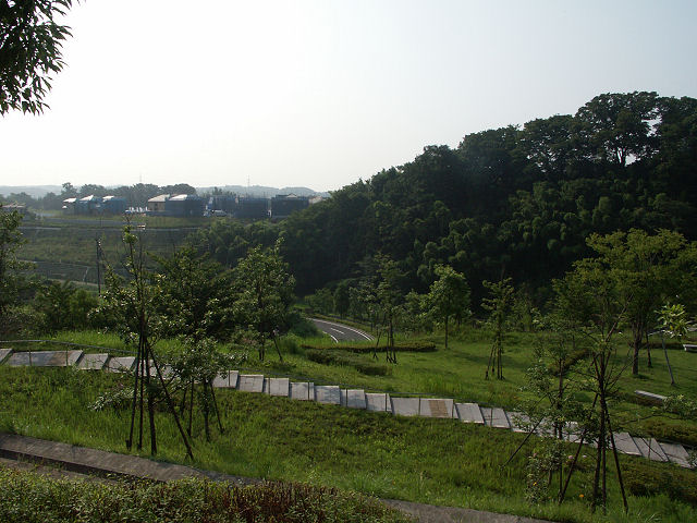 稲城市坂浜上谷戸に残る谷戸地形と里山の緑