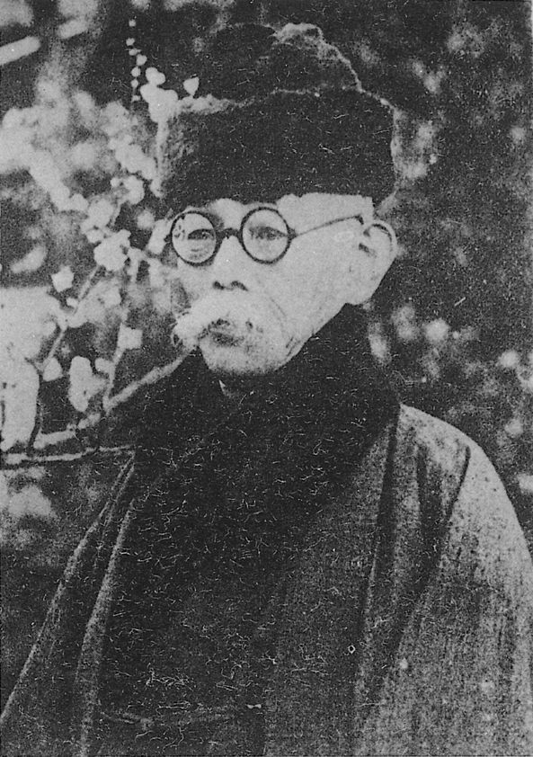 『小説神髄』を著した坪内逍遥の肖像