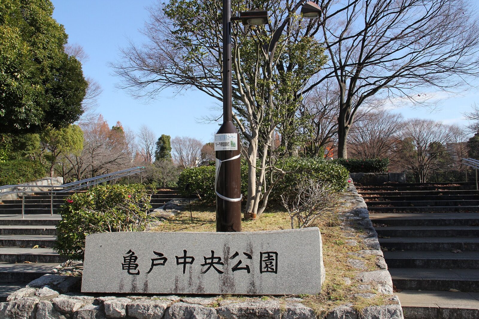 亀戸中央公園の園路と樹木の景観