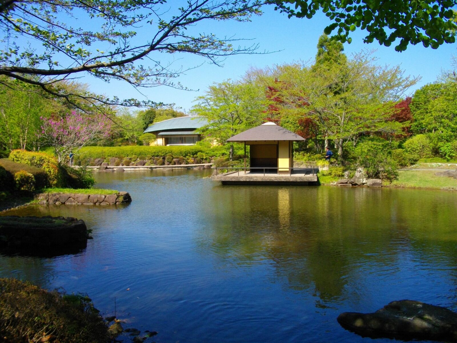 柏の葉公園の日本庭園・牧が原園