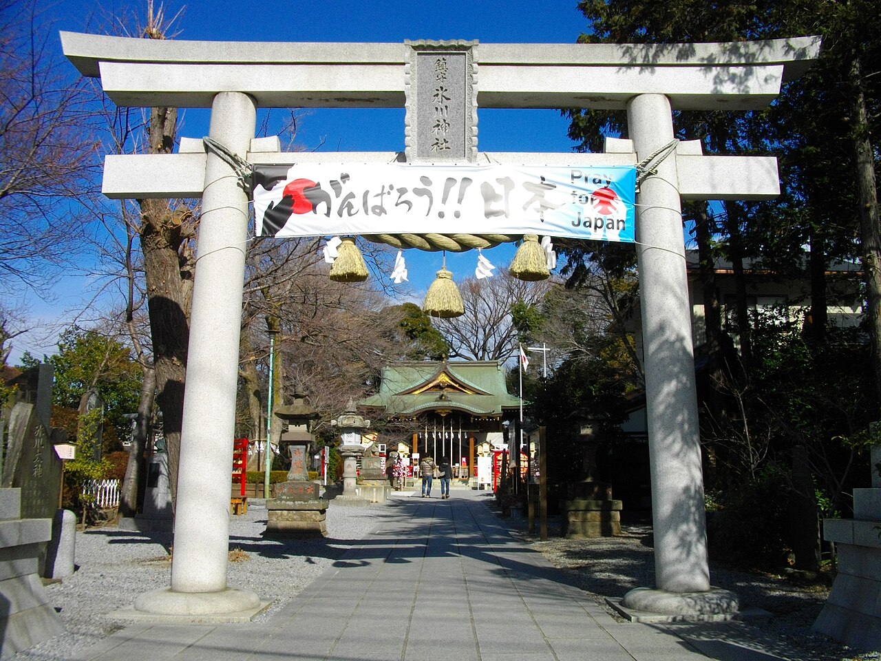 川口市青木にある鎮守氷川神社の鳥居と社殿