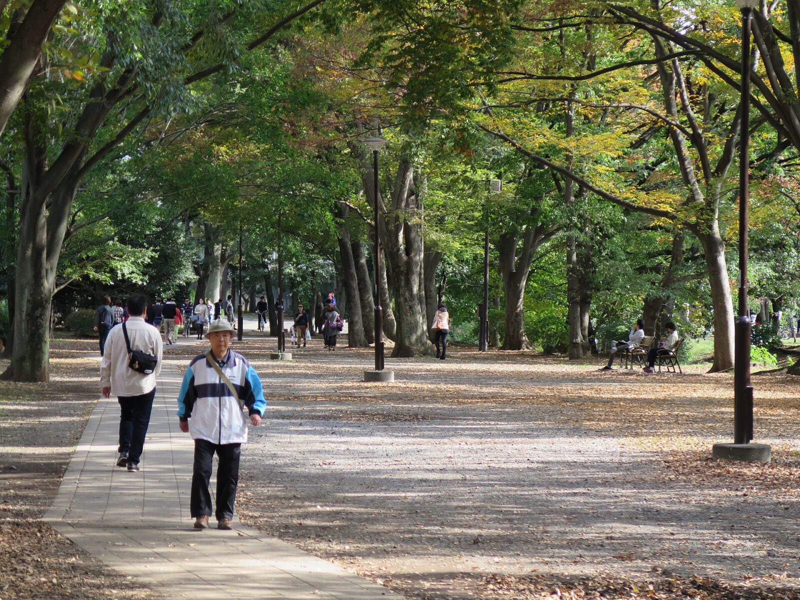 2014年秋の井の頭恩賜公園を歩く人々