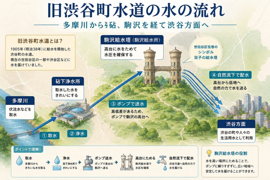旧渋谷町水道の水の流れを示す図。多摩川から砧下浄水所、駒沢給水塔を経て渋谷方面へ送水する仕組み