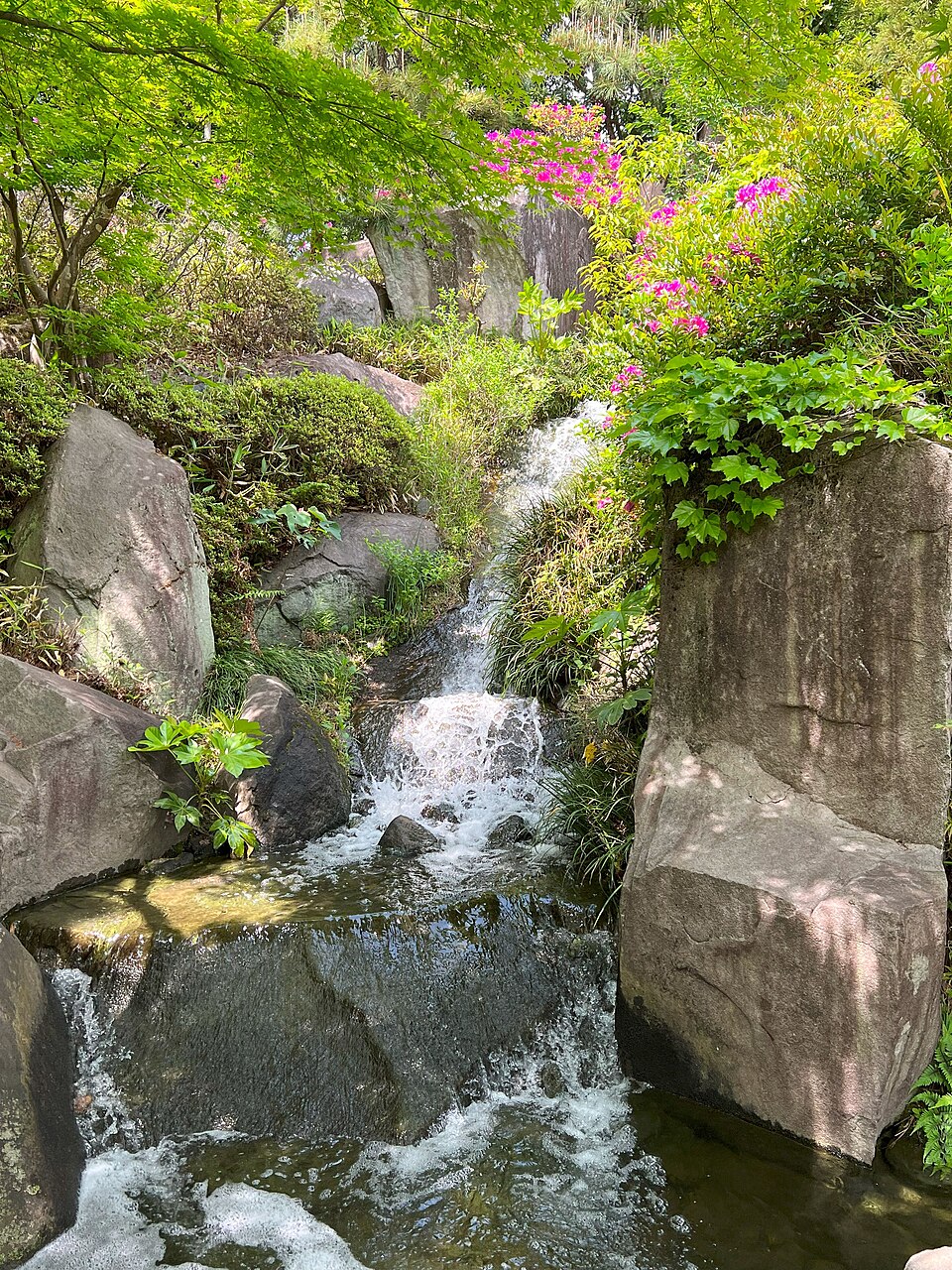 豊島区立目白庭園の石組みと滝