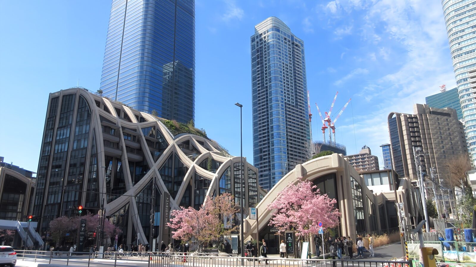 麻布台ヒルズの低層建築、高層棟、河津桜