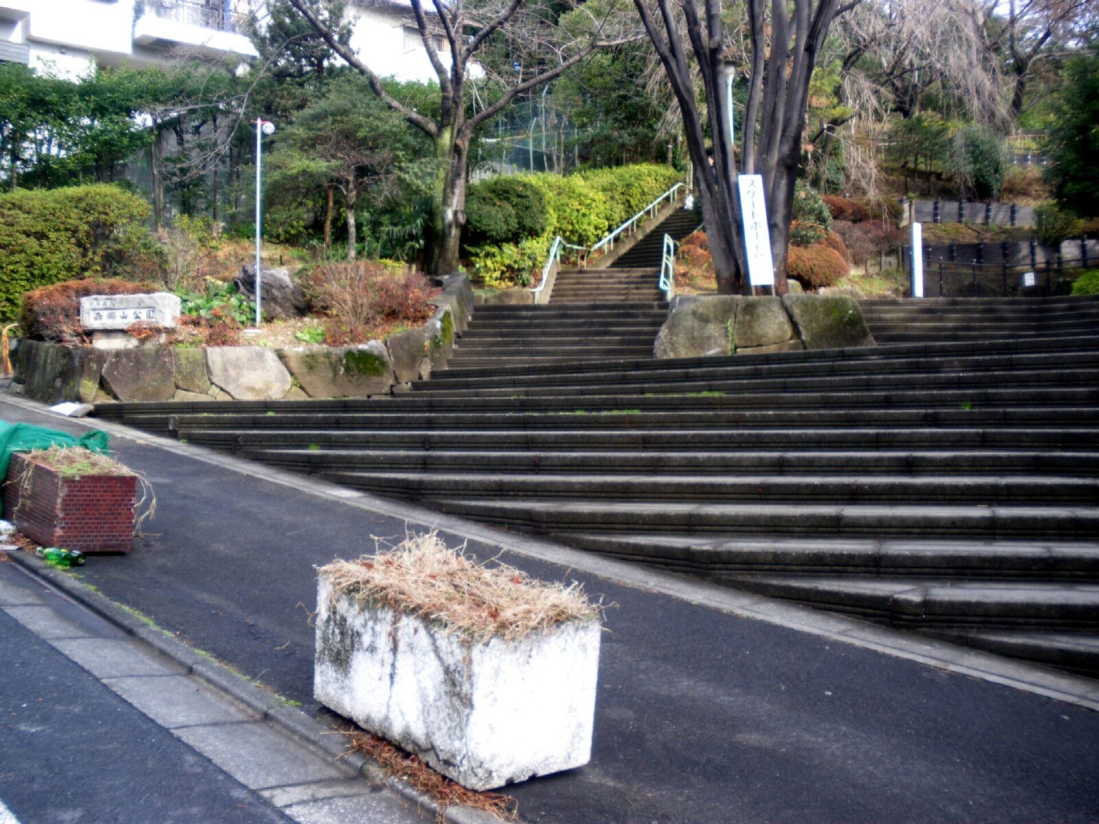 目黒区青葉台にある西郷山公園の西側入口と園内景観