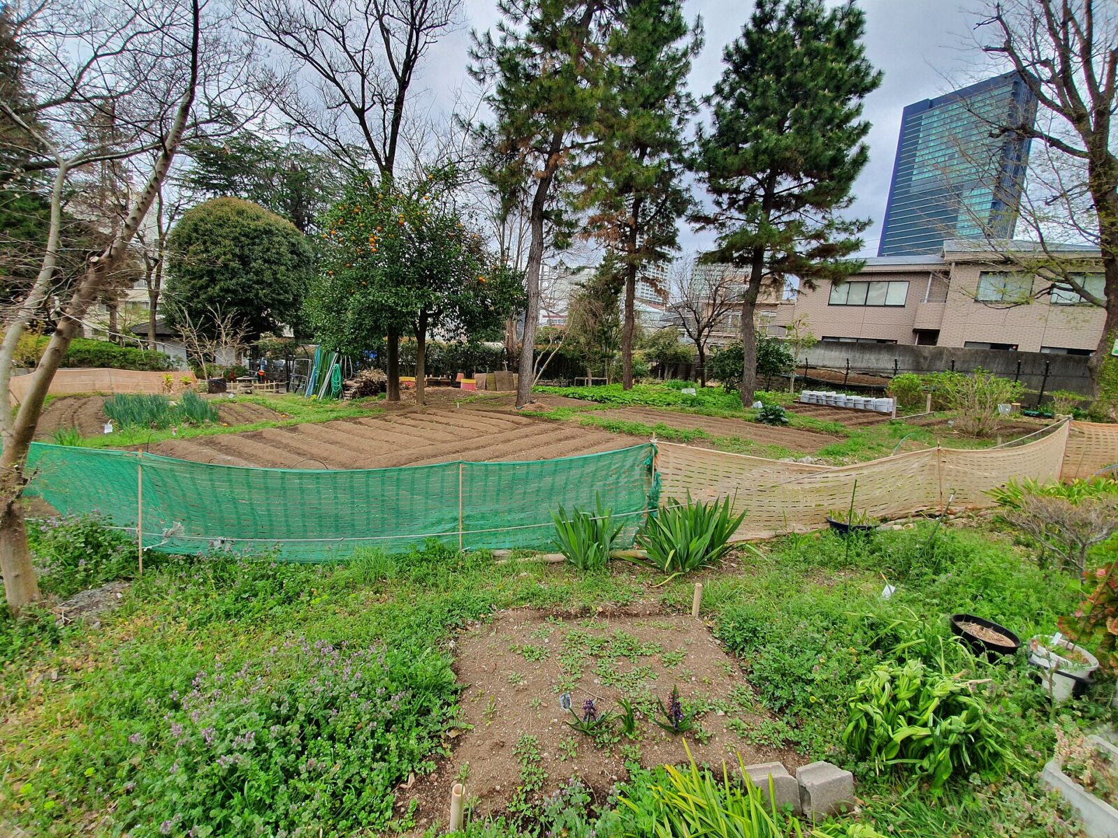 目黒区青葉台にある菅刈公園の庭園景観