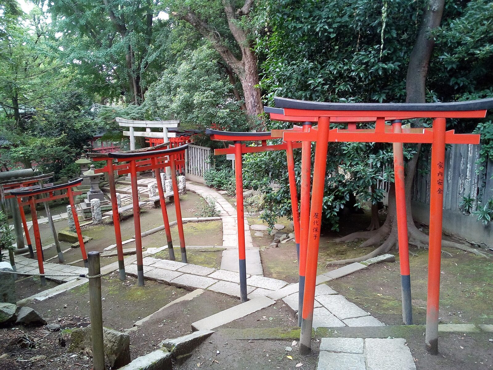 根津神社境内の乙女稲荷神社へ続く鳥居列