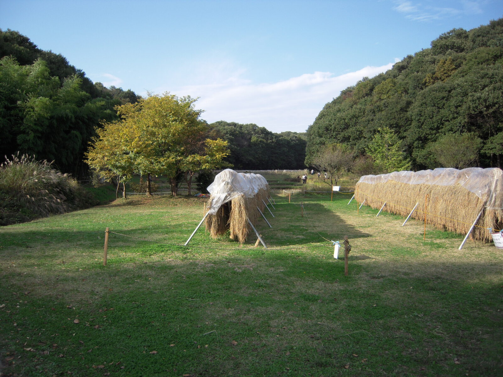武蔵村山市の野山北・六道山公園に広がる里山景観